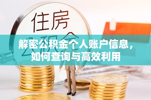 温宿解密公积金个人账户信息，如何查询与高效利用