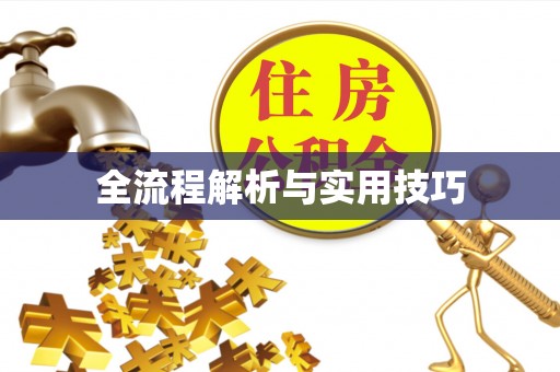 温宿全流程解析与实用技巧