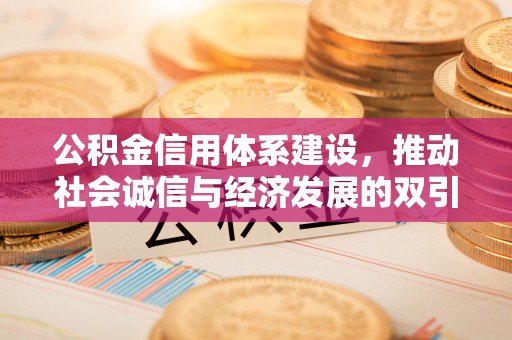 温宿公积金信用体系建设，推动社会诚信与经济发展的双引擎