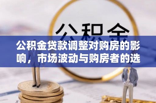 温宿公积金贷款调整对购房的影响，市场波动与购房者的选择