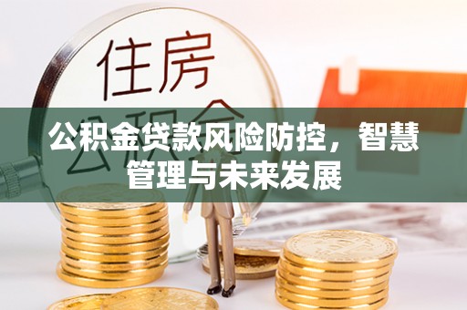 温宿公积金贷款风险防控，智慧管理与未来发展