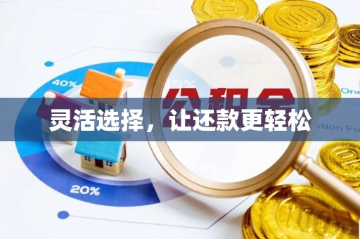 温宿灵活选择，让还款更轻松