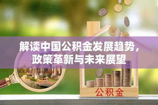 温宿解读中国公积金发展趋势，政策革新与未来展望