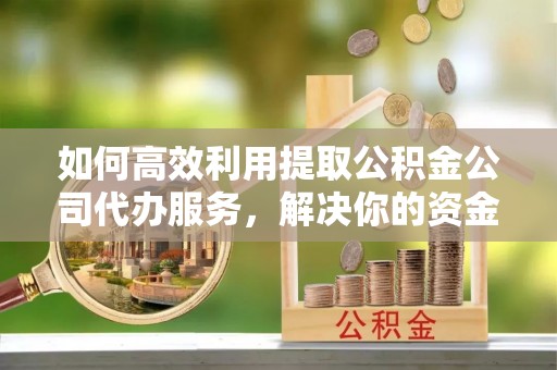 温宿如何高效利用提取公积金公司代办服务，解决你的资金难题