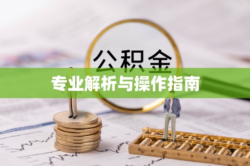 温宿专业解析与操作指南