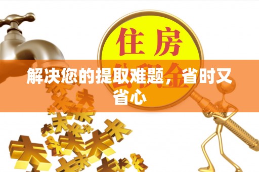 温宿解决您的提取难题，省时又省心
