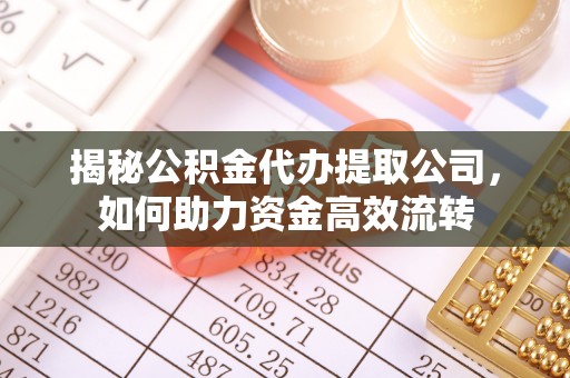 温宿揭秘公积金代办提取公司，如何助力资金高效流转