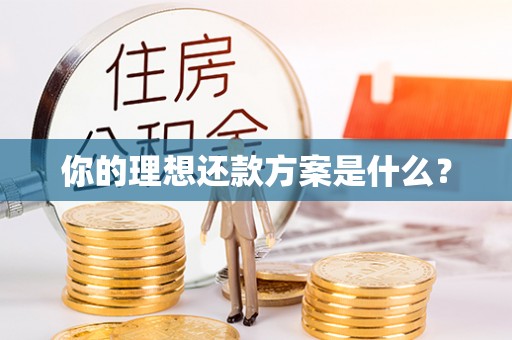 温宿你的理想还款方案是什么？