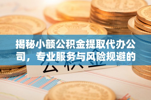 温宿揭秘小额公积金提取代办公司，专业服务与风险规避的平衡艺术