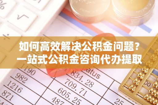 温宿如何高效解决公积金问题？一站式公积金咨询代办提取服务全解析
