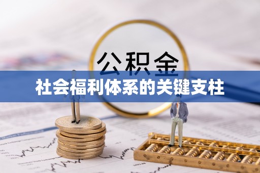 温宿社会福利体系的关键支柱