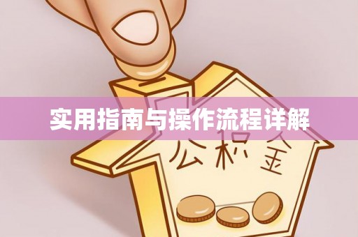 温宿实用指南与操作流程详解