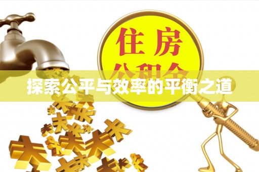 温宿探索公平与效率的平衡之道