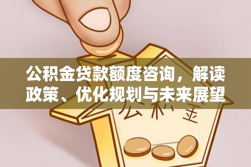 温宿公积金贷款额度咨询，解读政策、优化规划与未来展望