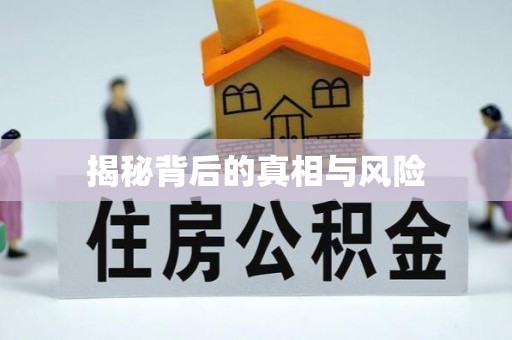 温宿揭秘背后的真相与风险