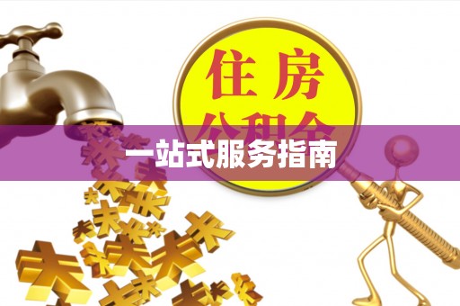 温宿一站式服务指南