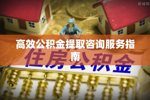 温宿高效公积金提取咨询服务指南