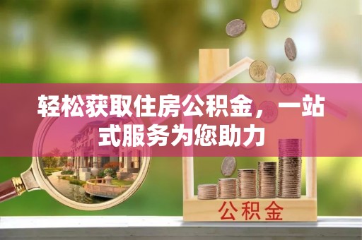 温宿轻松获取住房公积金，一站式服务为您助力
