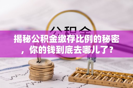 温宿揭秘公积金缴存比例的秘密，你的钱到底去哪儿了？