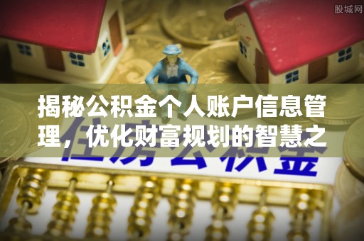 温宿揭秘公积金个人账户信息管理，优化财富规划的智慧之选