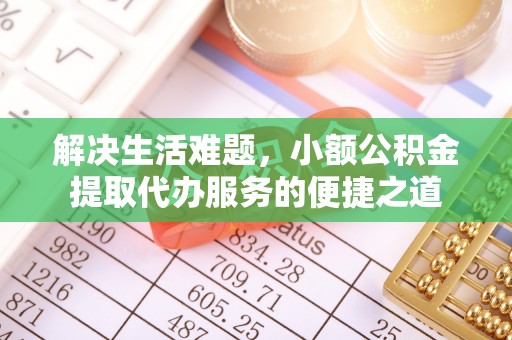 温宿解决生活难题，小额公积金提取代办服务的便捷之道
