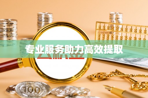 温宿专业服务助力高效提取
