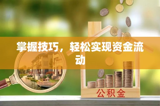 温宿掌握技巧，轻松实现资金流动