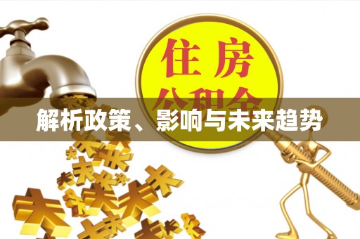 温宿解析政策、影响与未来趋势